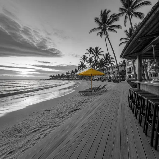 Where to Stay in Punta Cana for Nightlife: Best Areas, Resorts & Practical Tips